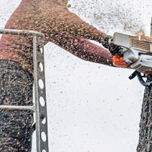 Timber Cuts Tree Service Kaysville - Tree Trimming & Tree Removal