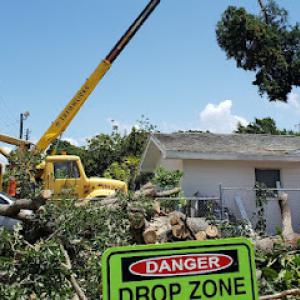 Trimworks Tree Service