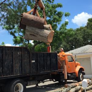 Brian's Quality Tree Service