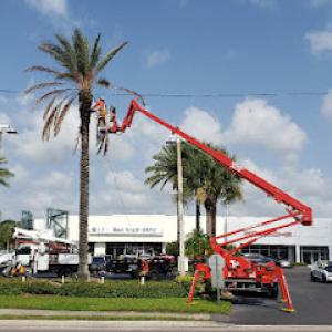 Lee Claxton, ISA Certified Arborist Tree Service