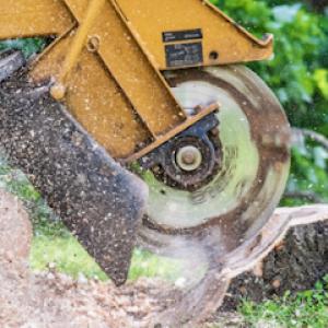 Advance Stump Removal