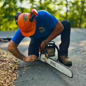 Bradley Tree Service & Excavating