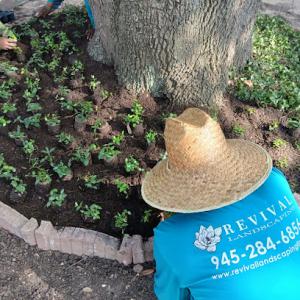 Revival Landscaping