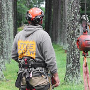 Baumann Tree Service