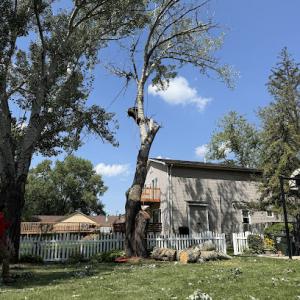 StumpWerx Tree Service