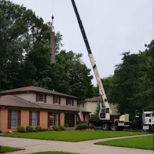 Jenny's Tree Service