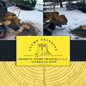 Priority Stump Grinding