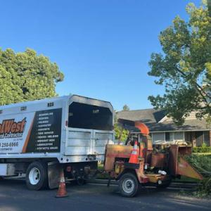 CalWest Tree Services