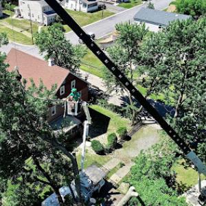 McGovern's Property Maintenance & Tree Service