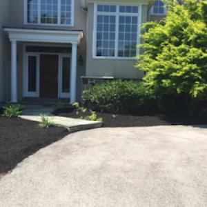 Carmelo's landscaping