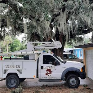 Redwine's Tree Service