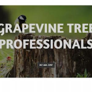 Grapevine Tree Professionals