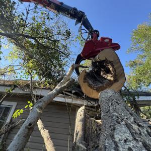 Pyramid Tree Service