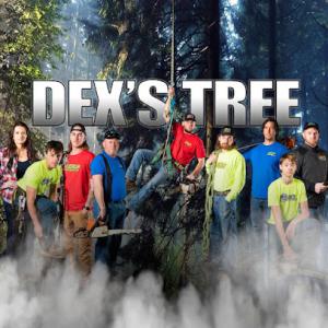 Dex's Tree Service