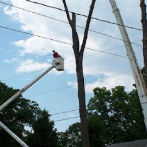 Linander's Tree Service