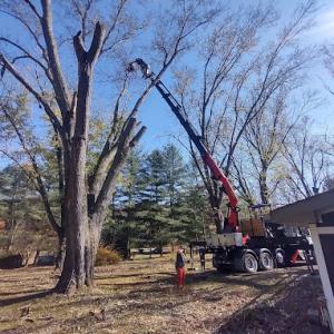 Vertical Landscaping