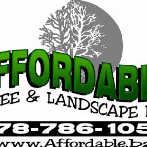 Affordable Tree & Landscape