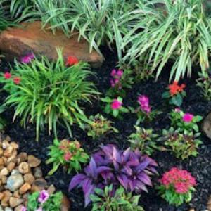 A & C Landscaping & More