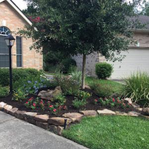 Results Tree & Landscape