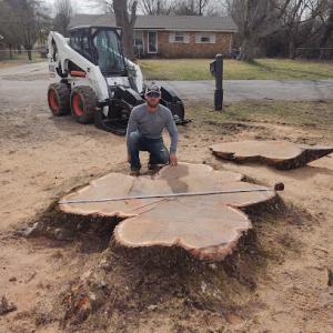 Evergreen Tree Service