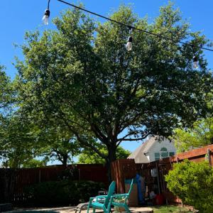Elite Tree Service