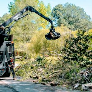 Andrews Tree Service