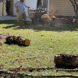 Absolute Stump Grinding