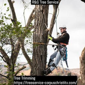 R&G Tree Service