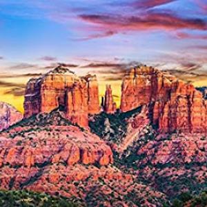 Sedona Tree & Landscape