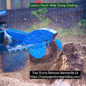 Casey's Parish Wide Stump Grinding