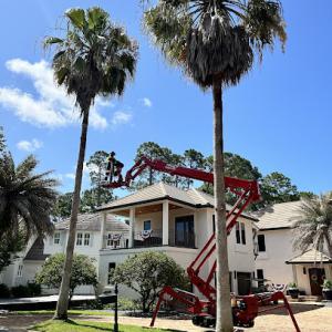 New Leaf Arboriculture