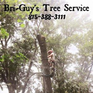 Bri-Guy's Tree Service