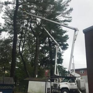 Malec Tree Services