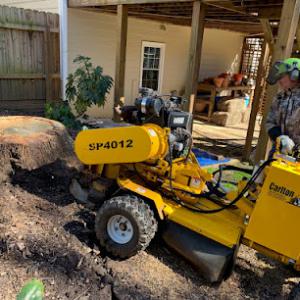 Chomper's Stump Removal