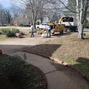 Hickey's Tree & Firewood Services
