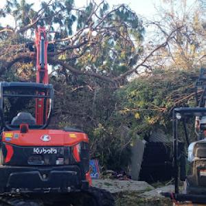 Bw Tree Experts