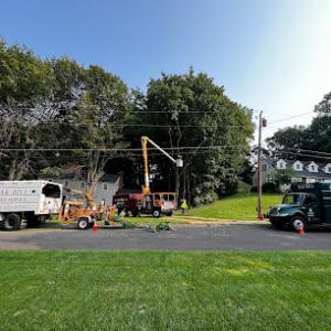 Oak Hill Tree Service