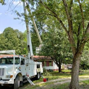 BullzEye Tree Service