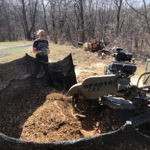 Rosie the Stump Boss