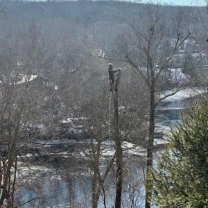 Oak Landscaping & Tree Services