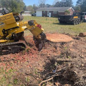 Premier Services Tree & Stump removal
