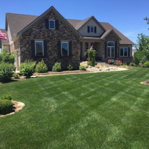 Ziehler Lawn Care