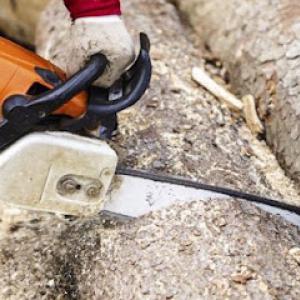 Pittsburgh Lumberjack Tree Service