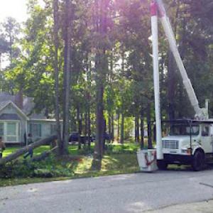 Green Bay Tree Service