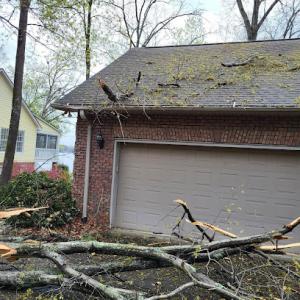 Prestige tree & land care