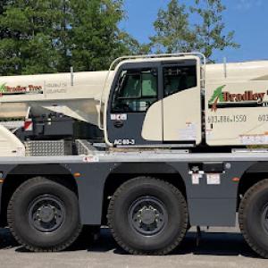 Bradley Tree & Landscape