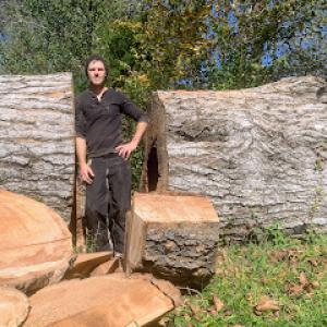 Reish Mobile Sawmilling & Tree Removal