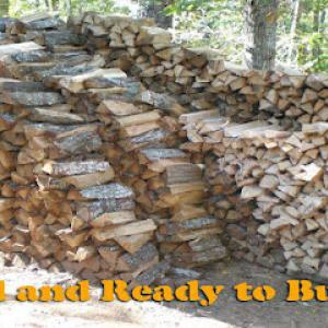 All For One Tree Service