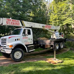Mastership Tree Services