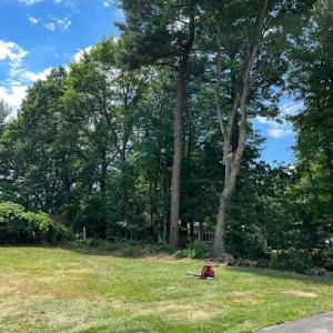 Precision Tree & Landscape